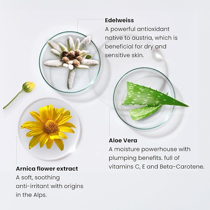 Monika Blunder Beauty - Blunder Cover Foundation Concealer - Shade: 6 - Sechs - Deep, Neutral/Golden Undertones - Clean Beauty, All-In-One, Cruelty-Free, Vegan - 0.62 oz