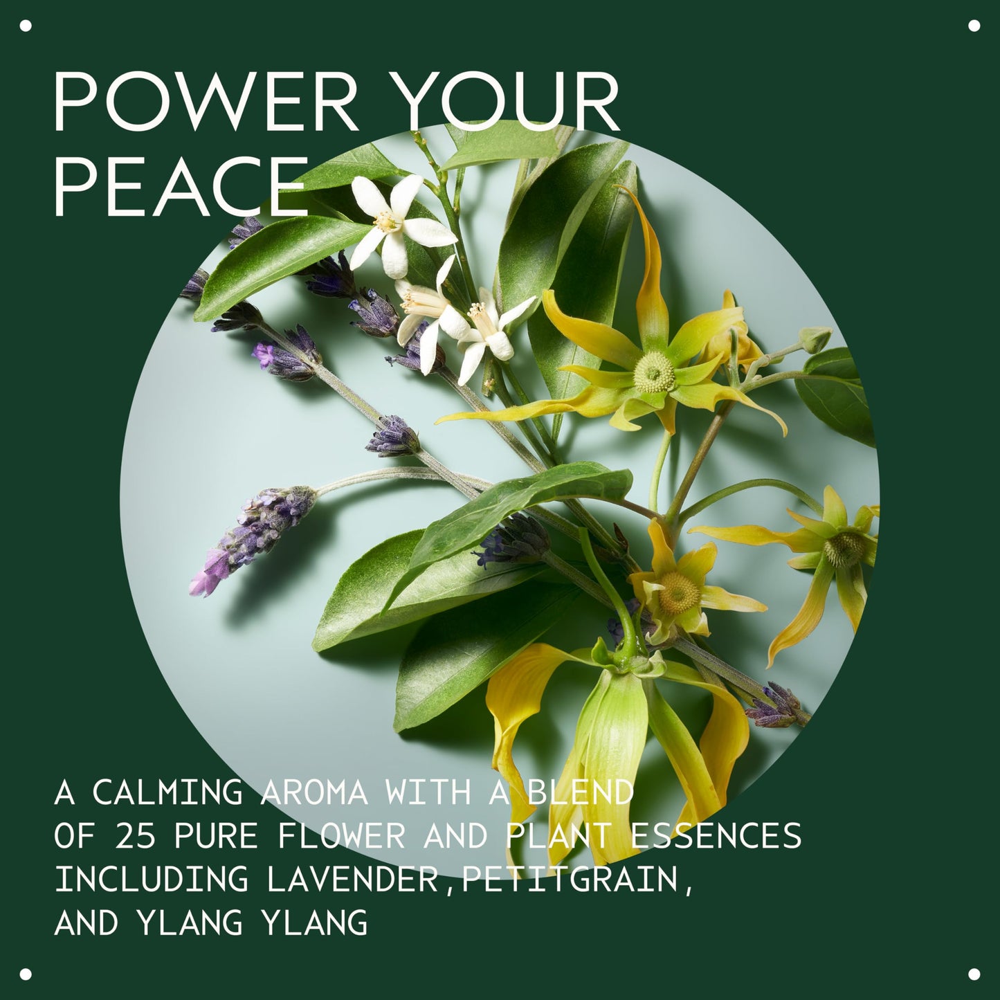 Aveda Shampure Nurturing Shampoo for Fine to Medium Hair | Gently Cleanses Hair | Daily Shampoo | 9% Naturally Derived* | Calming Aroma of Lavender & Ylang Ylang, 1.7 Fl Oz