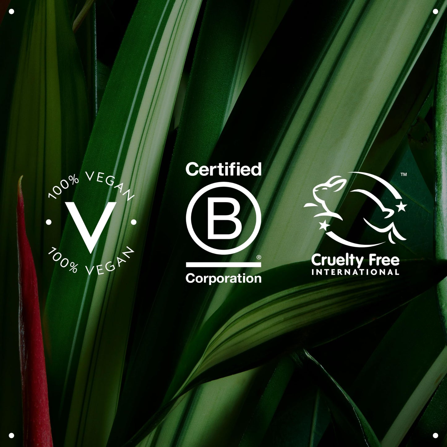 Aveda Nutriplenish Daily Moisturizing Treatment | Leave-In Treatment for Dry Hair | Heat Protection | Organic Pomegranate Oil, Coconut Oil, Mango Butter | 99% Naturally Derived*, 1.3 Fl Oz