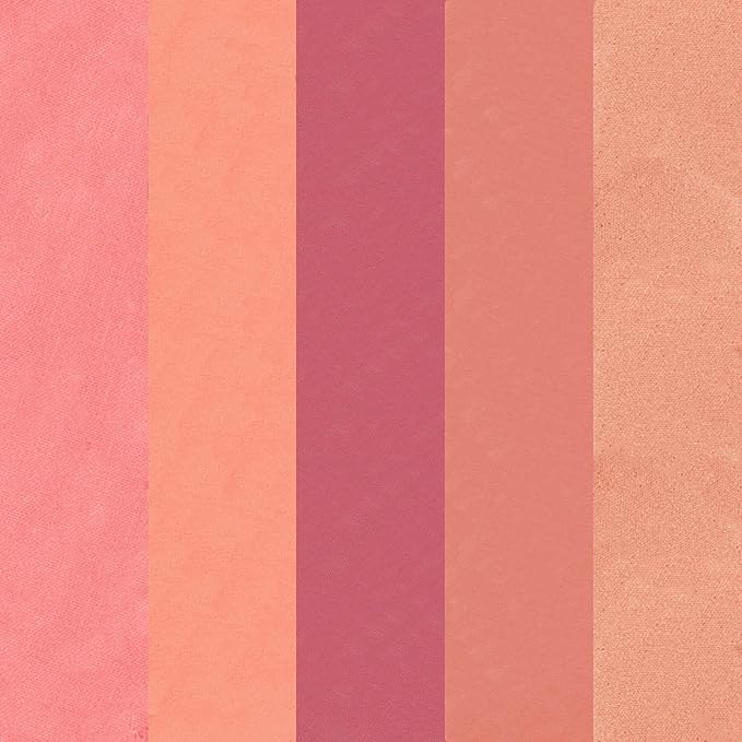 LAURA GELLER NEW YORK x Wheel of Fortune Limited Edition Collab The Wheel Blush Palette 5 pc Multi-Finish Blushes