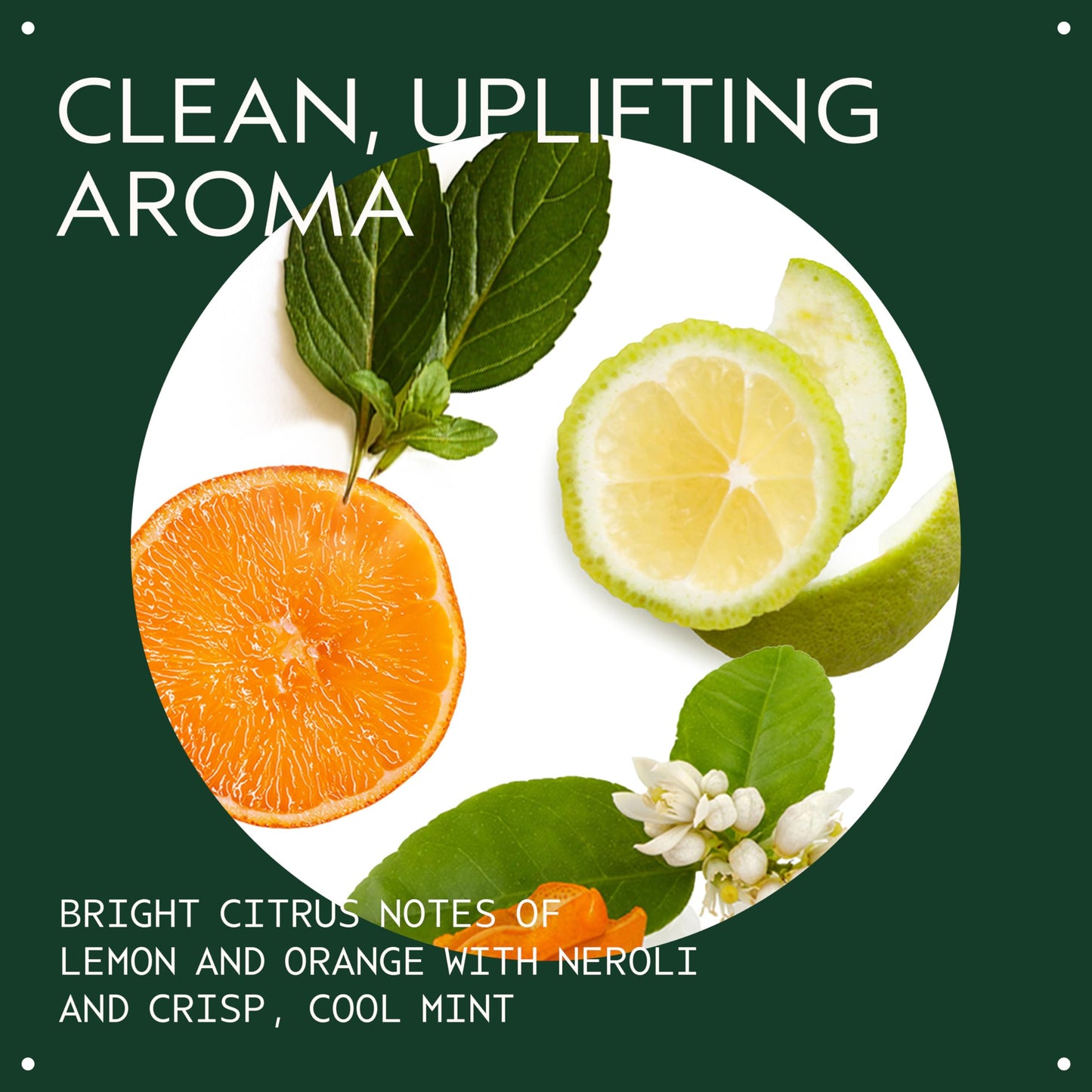 Aveda Scalp Solutions Balancing Shampoo | Gentle Purifying Shampoo for All Hair Types | Removes Pollution & Build-Up, Improves Scalp Hydration | 94% Naturally Derived*, 1.7 Fl Oz