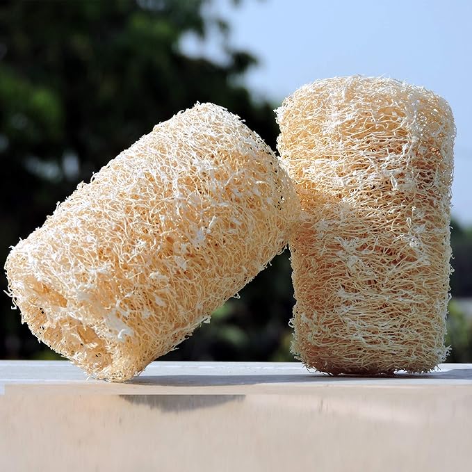 HealthGoodsIn - Organic Loofa Natural Bath Sponge, Set of 2 Exfoliating Bath Sponge Scrubber | Naturally Grown Loofah (Set of 2)