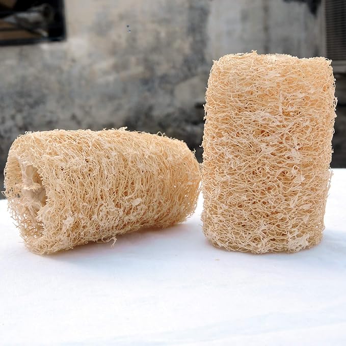 HealthGoodsIn - Organic Loofa Natural Bath Sponge, Set of 2 Exfoliating Bath Sponge Scrubber | Naturally Grown Loofah (Set of 2)