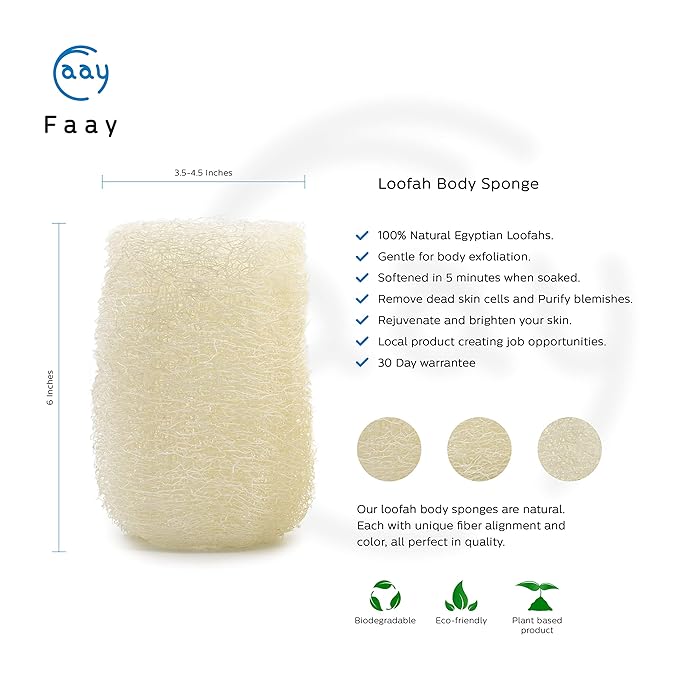 FAAY 4 Pcs Premium Natural Exfoliating Loofah Sponge: 6" Eco-friendly Unbleached Luffa Body Scrubber Rejuvenating Your Skin for Men and Women. Paraben Free Bath Sponge, Shower Loofah